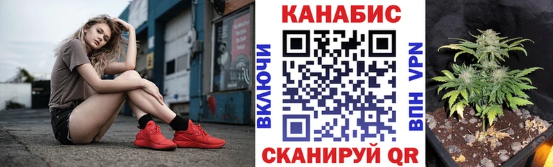 Где найти наркотики Солнечногорск Бошки Шишки  A-PVP  Гашиш  АМФ  COCAIN  Меф 