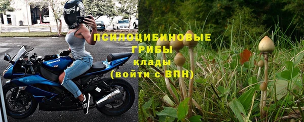 а пвп мука Ельня