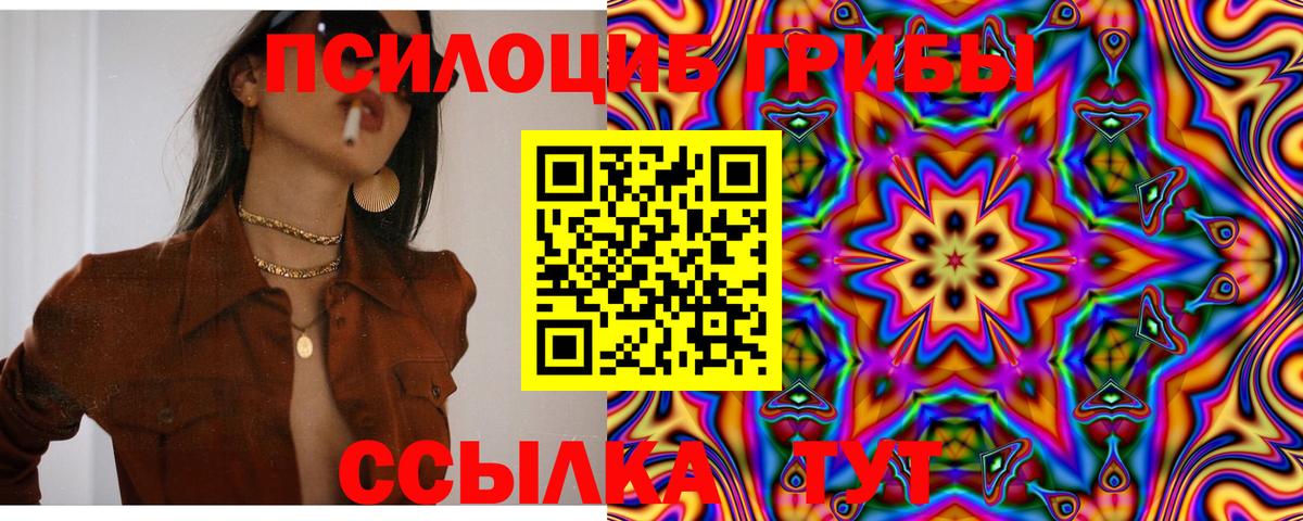 Псилоцибиновые грибы мухоморы Солнечногорск