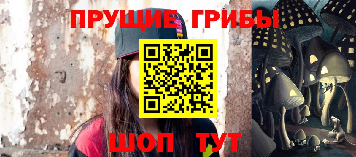 Псилоцибиновые грибы Cubensis  Солнечногорск 