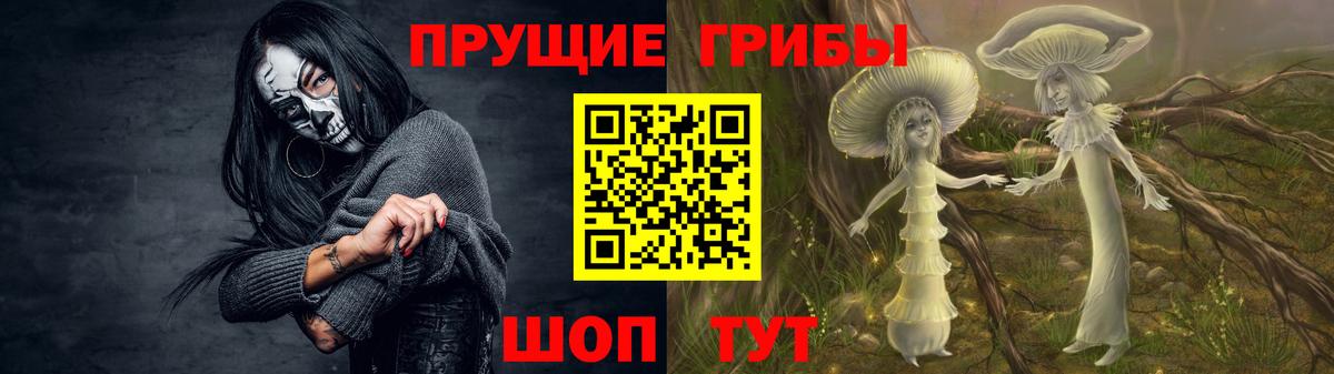 купить наркотики цена  Псилоцибиновые грибы GOLDEN TEACHER  Солнечногорск  Вход с VPN  Галлюциногенные грибы мицелий 